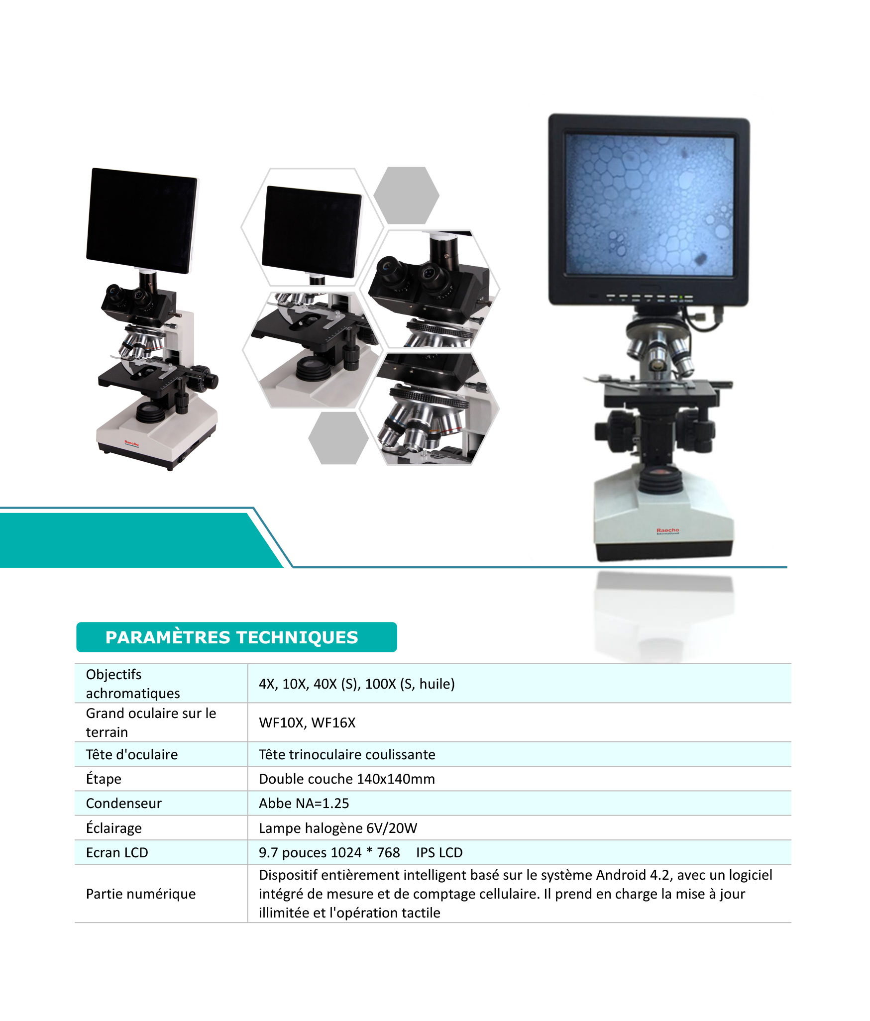 Raecho-Microscope à Affichage LCD-1.jpg