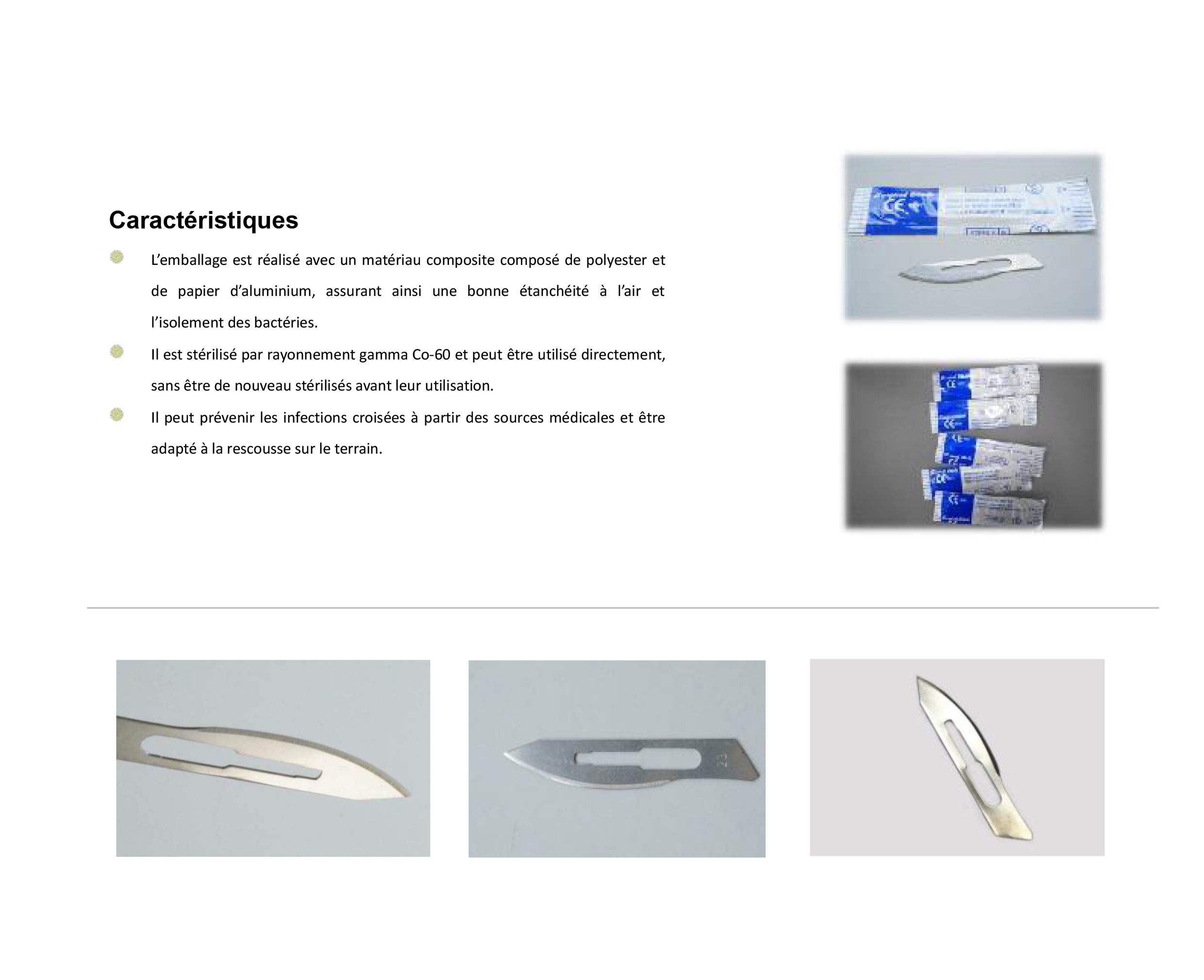 法语-Raecho-Surgical Blades-1.jpg